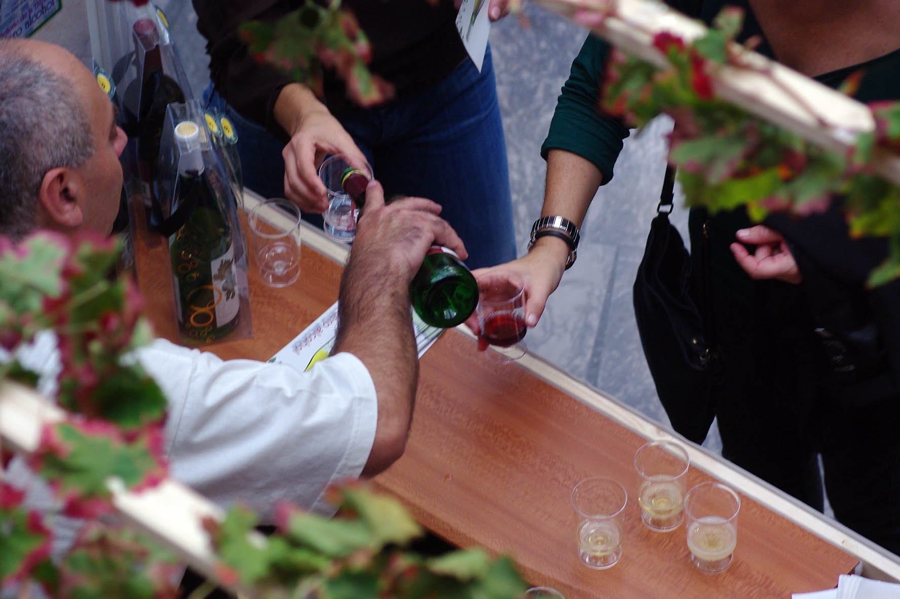 Una decena de bodegas participan en la II Feria de Vinos de Ronda con Tapas