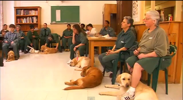 Cachorros entre rejas, una iniciativa para ayudar a los presos y a los veteranos de guerra
