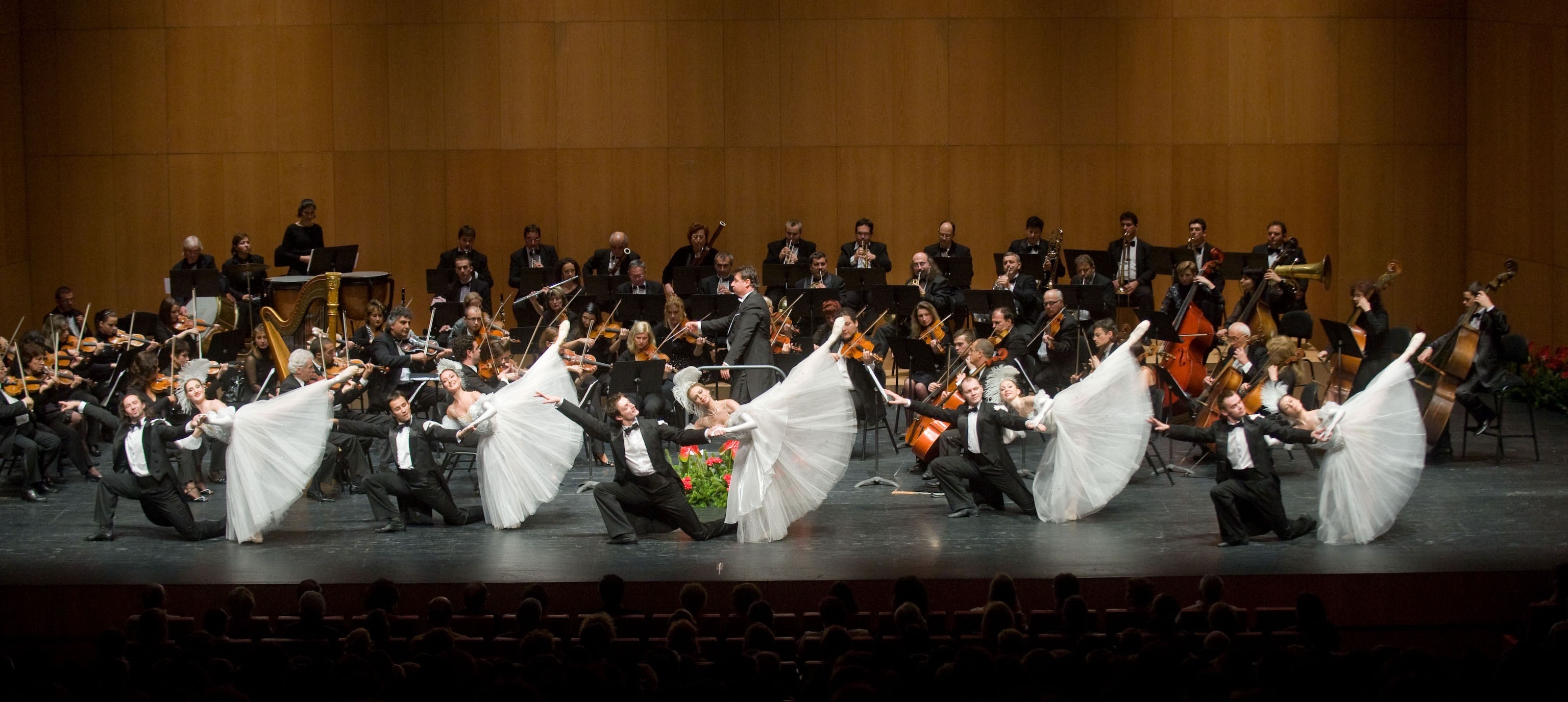 El Gran Concierto de Año Nuevo lleva a Baluarte el 6 de enero una selección de obras de la familia Strauss