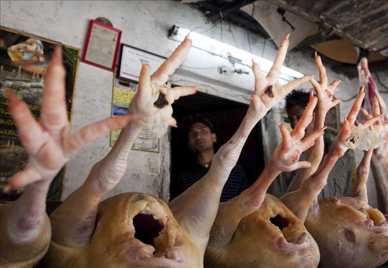 Sacrificados 17.000 pollos en un mercado tras detectarse brote de gripe aviar
