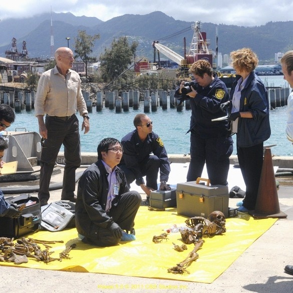 Los policías de »Hawai 5.0» vuelven con Terry O»Quinn y Peter Fonda