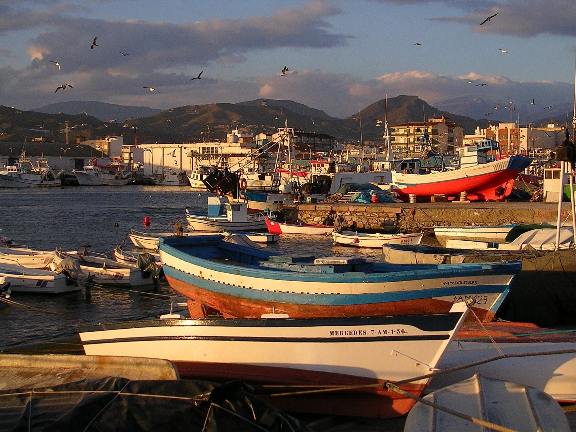 Pescadores marroquíes y españoles lamentan el no del acuerdo por «motivos políticos» y piden agilizar el proceso