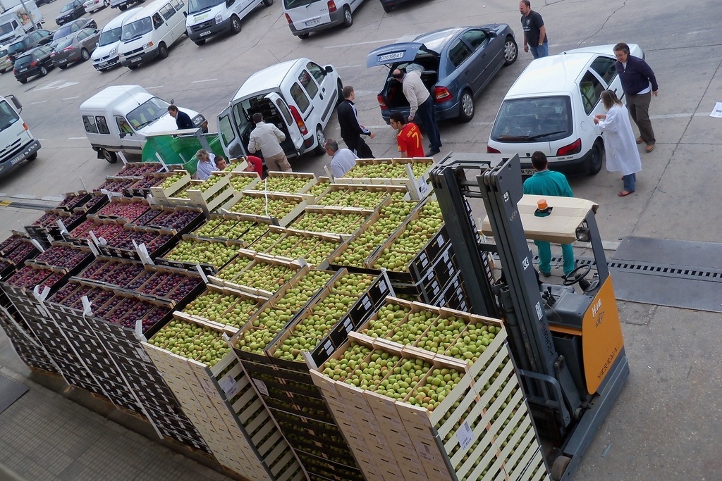 Cantabria distribuirá más de 289.000 kilos de alimentos en la 4ª fase del plan de ayuda a las personas más necesitadas