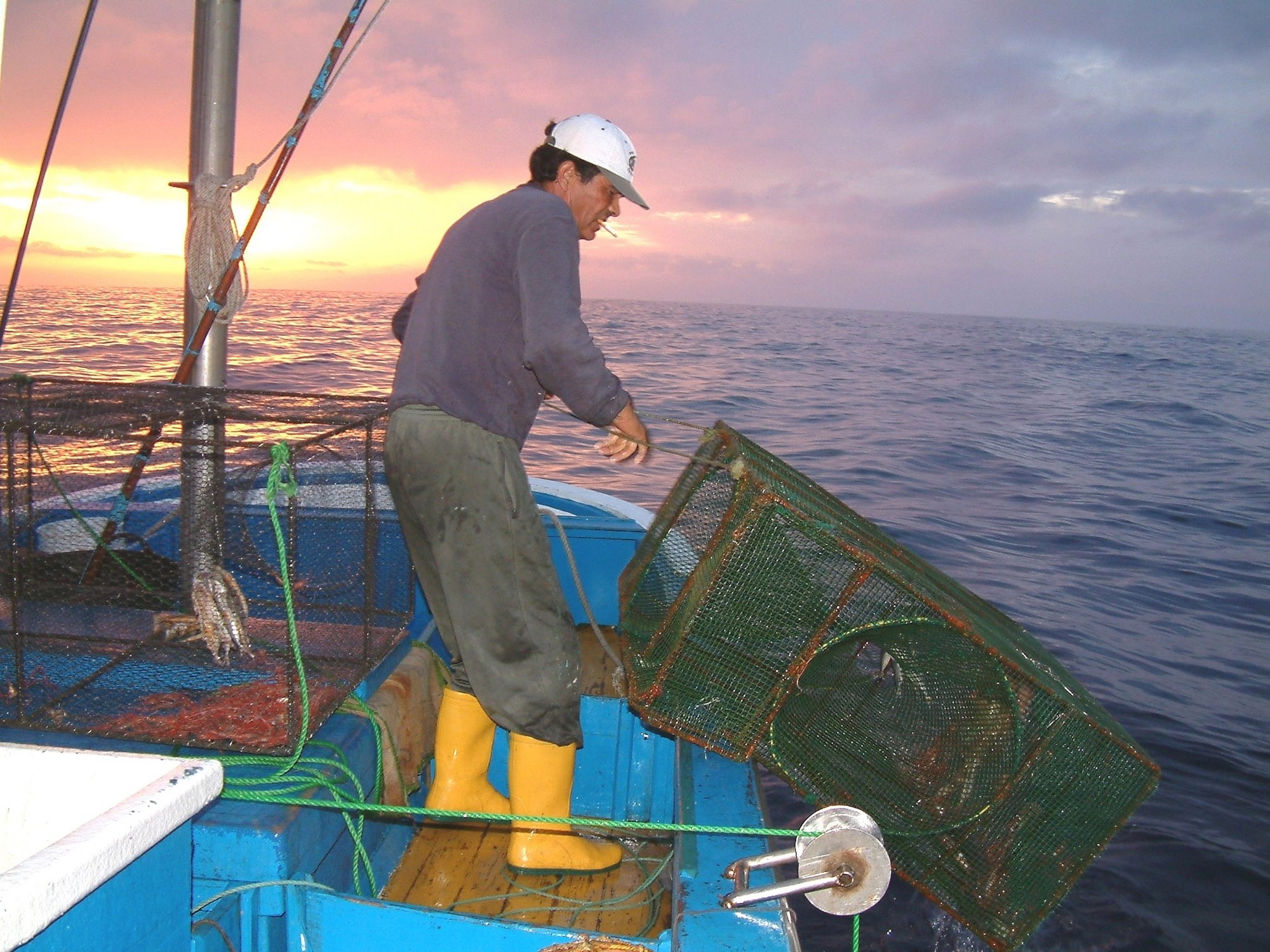 El Cabildo de La Palma programa un curso formativo dedicado al sector marítimo-pesquero