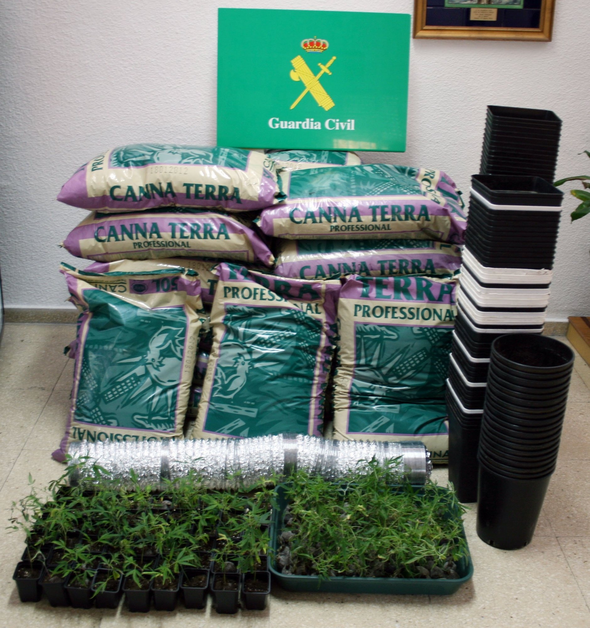 Detenidos en Ávila dos jóvenes que transportaban pequeñas plantas de marihuana para plantar en Zamora