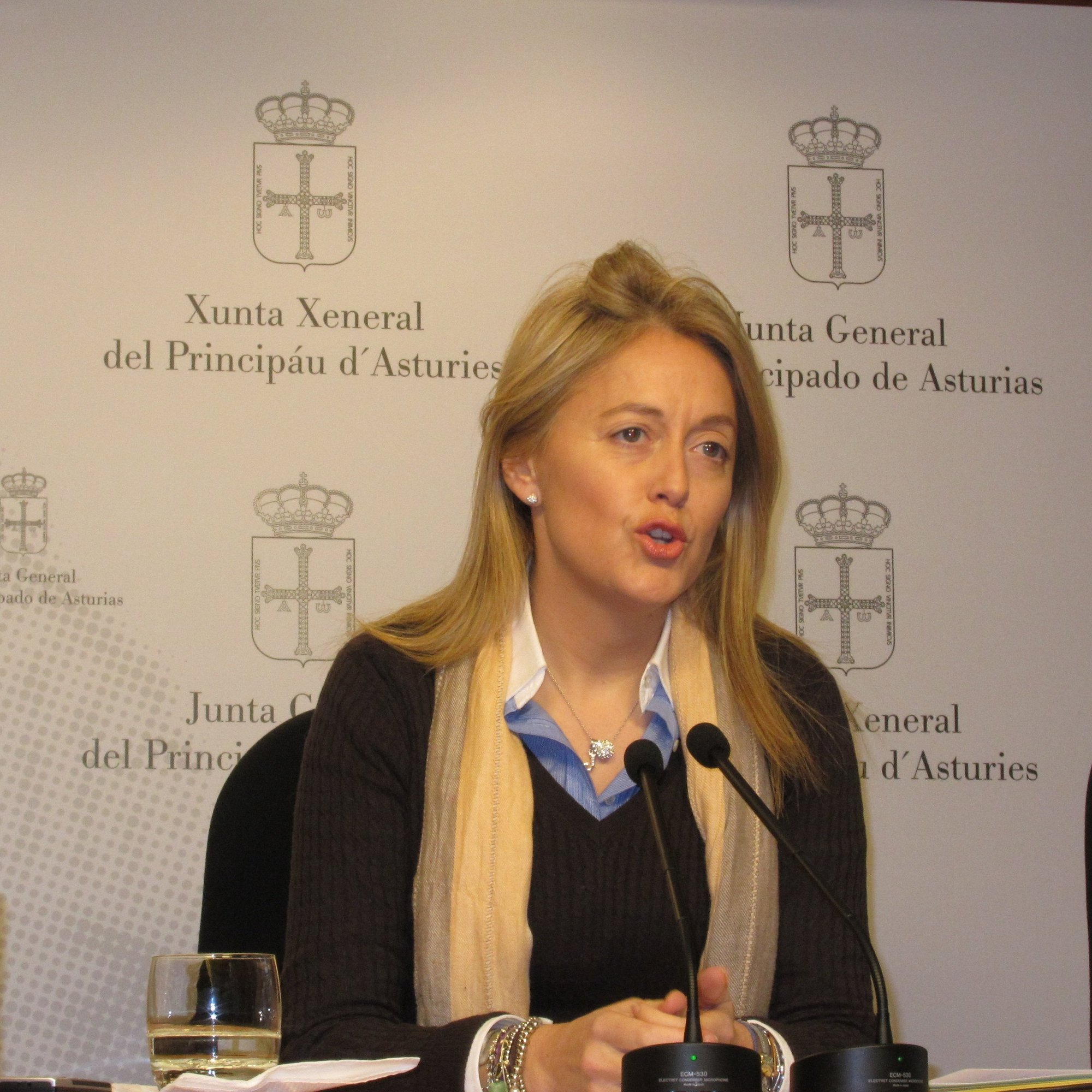 Coto critica la «sumisión» de Fernández (PP) a Rajoy y le reprocha que no haya dejado su acta de diputada