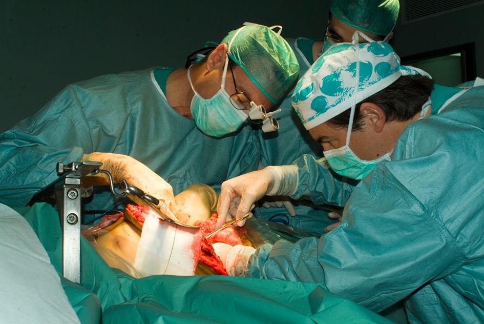 Extremadura-La Sociedad de Nefrología insiste en el trasplante como la «mejor opción sustitutiva» de la enfermedad