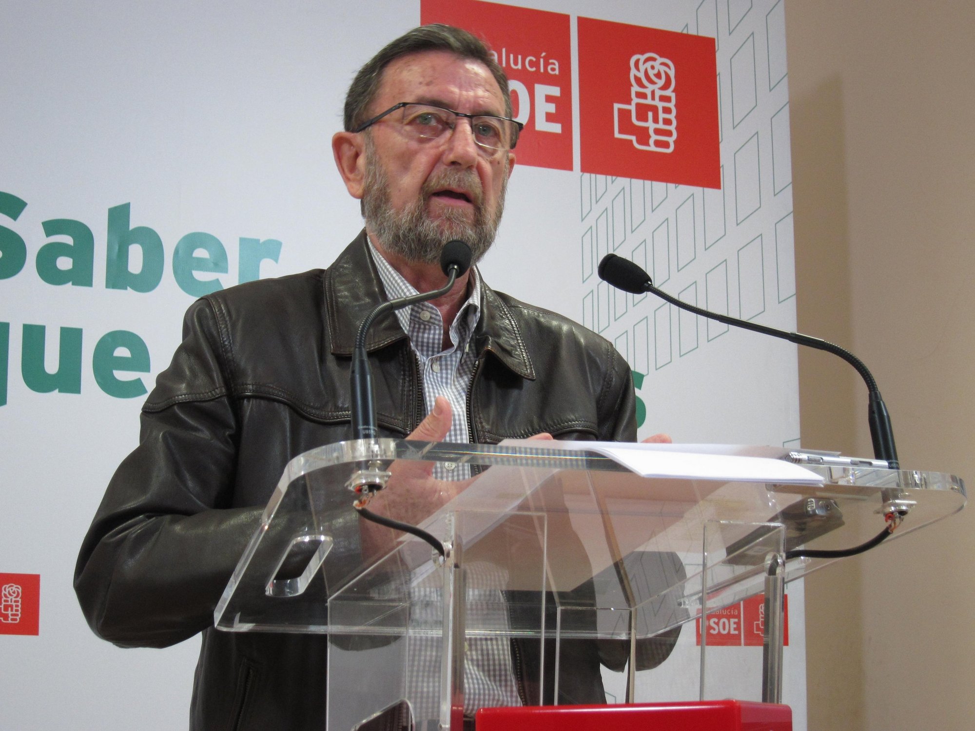 Gracia ve un «clima de convivencia» en el PSOE de Sevilla gracias al «trabajo electoral», tras la dimisión de Viera