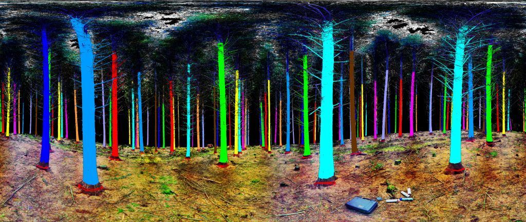 Los árboles »hablan» con los satélites para mejorar las cosechas forestales
