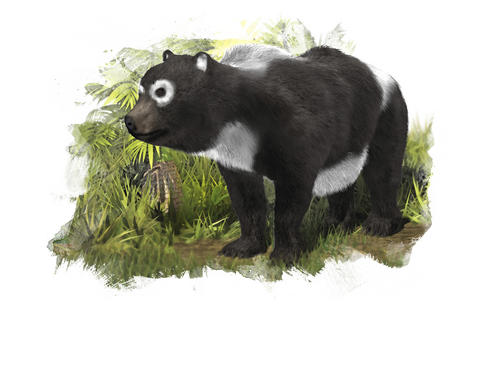 Describen al primo pequeño del oso panda gigante, que vivió en Zaragoza