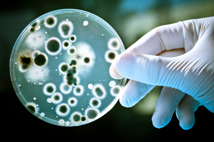 Una »superbacteria» de transmisión sexual puede con todos los antibióticos y se convierte en incurable