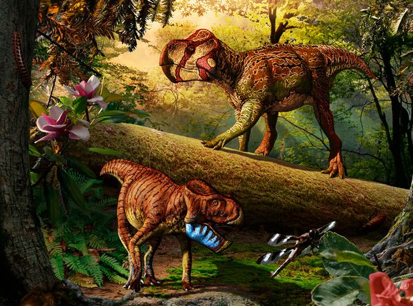 Nuevas investigaciones desvelan que los dinosaurios eran probablemente de sangre caliente