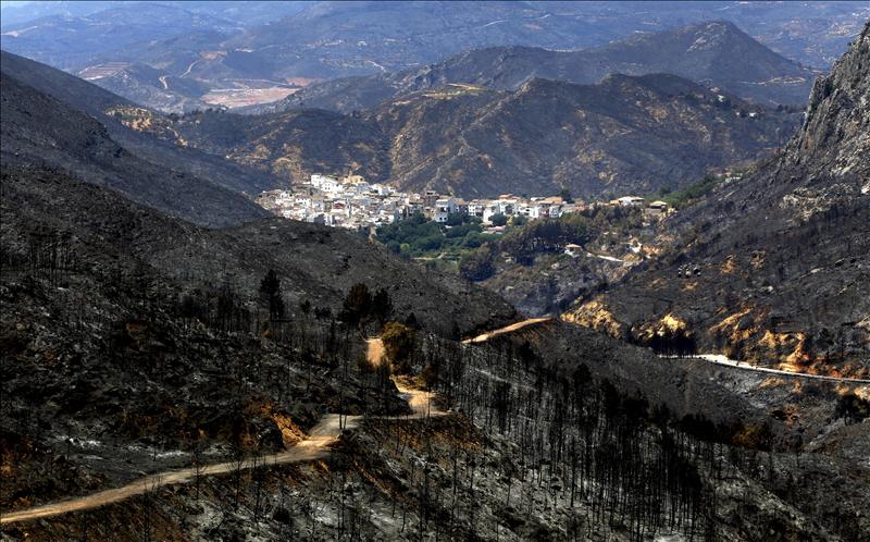 España pedirá ayuda a la UE por los incendios forestales de Valencia