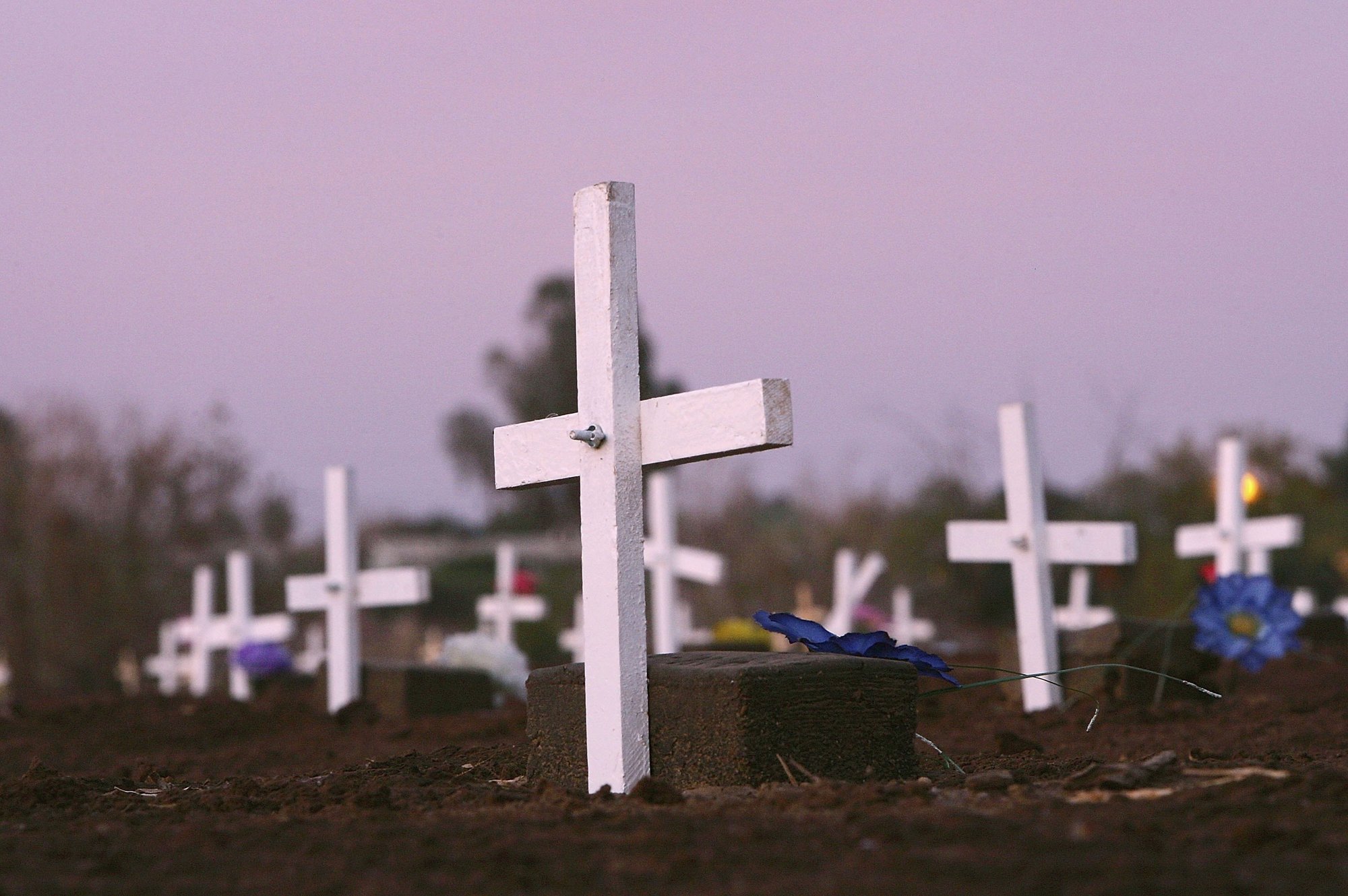 Numerosas tumbas sin identificar en el cementerio de Holtville