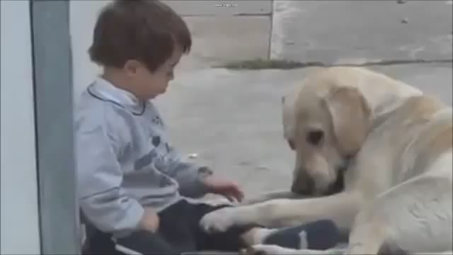 Un perro dando un abrazo a un niño con síndrome de Down arrasa en la Red