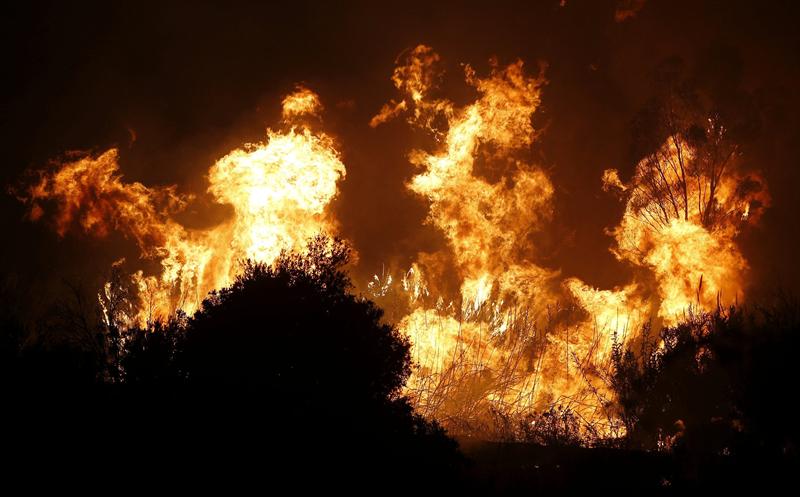 Peligro de Incendios forestales: El 87% de los montes no tiene ninguna gestión