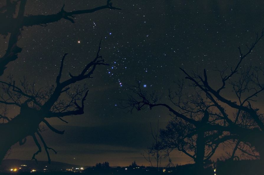 Los Tres Reyes Magos de la Constelación de Orión ya se dejan ver en el cielo nocturno