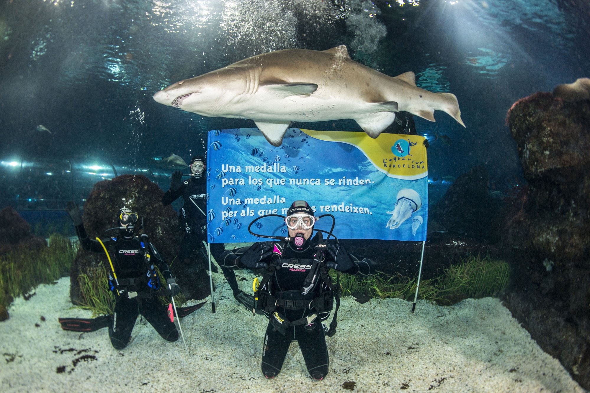 Mireia Belmonte desea un «feliz 2013» entre tiburones