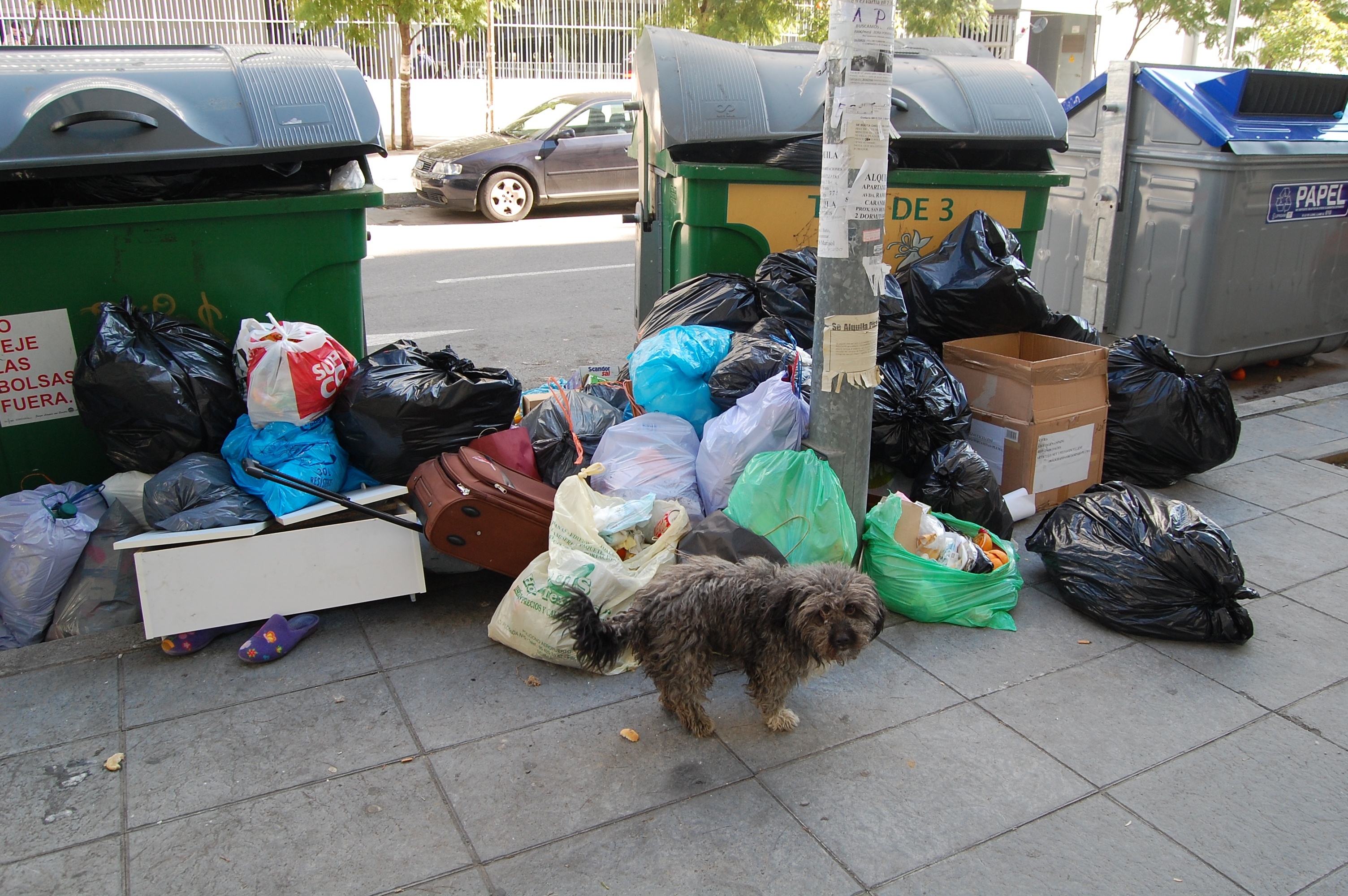 El Ayuntamiento calcula más de 1,5 millones de kilos de basura sin recoger y contabiliza decenas de incidentes