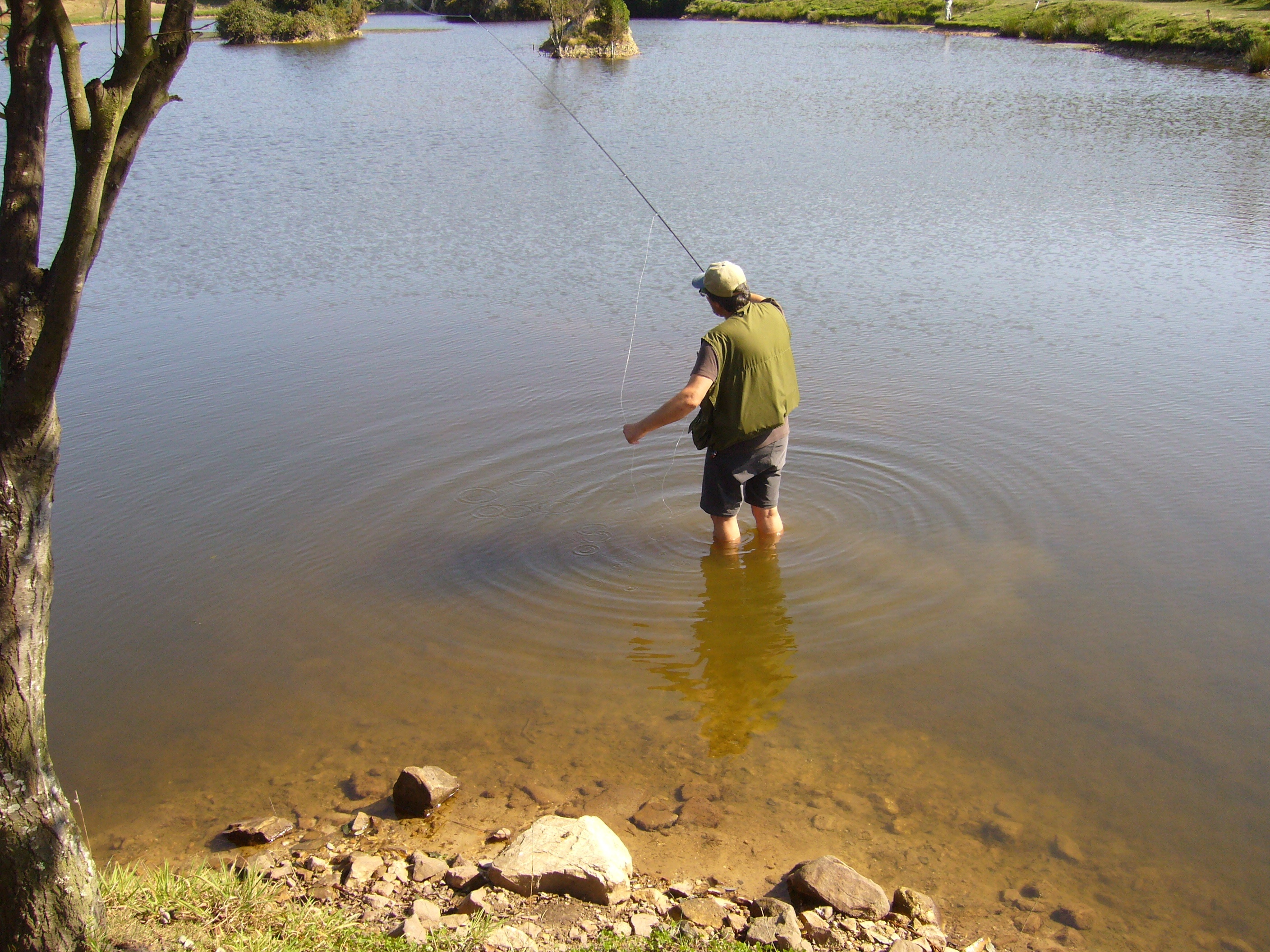 El Gobierno de Navarra regula la práctica de la pesca en los ríos de la Comunidad foral durante 2013