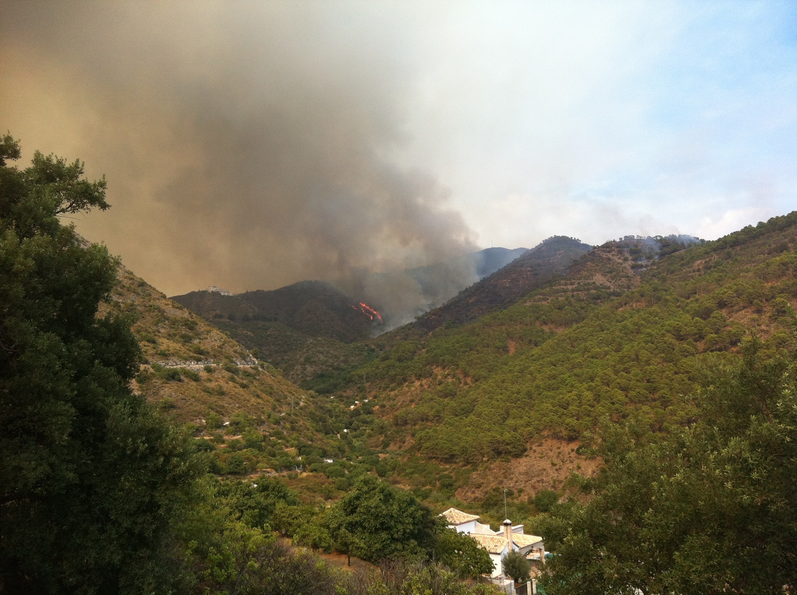 Medio Ambiente destina a Andalucía 1,5 millones de euros para la reparación de daños por el fuego en 2012