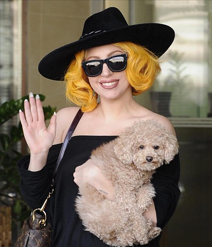 Lady Gaga se recupera de su operación en una silla de ruedas ¡bañada en oro!