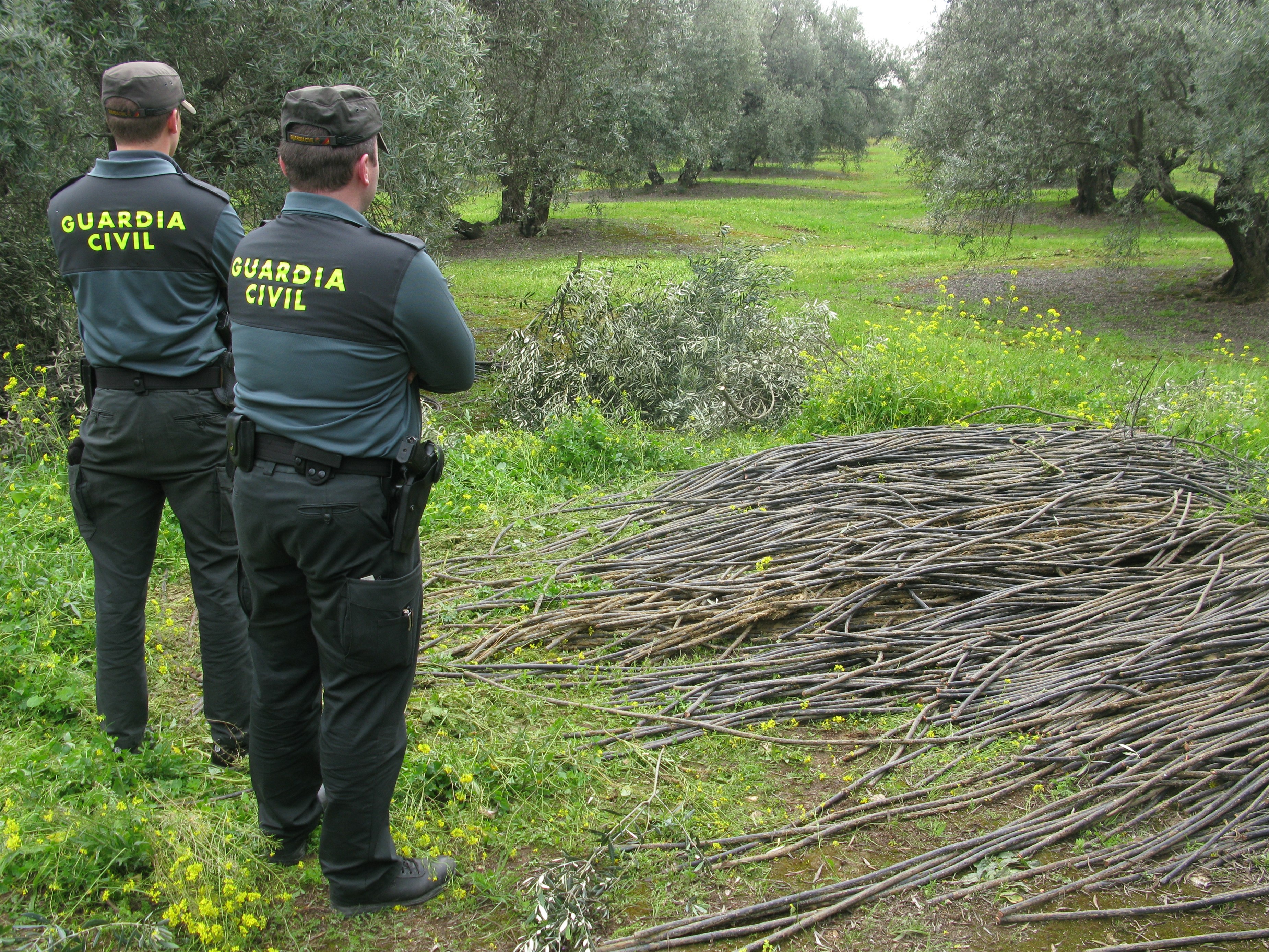 La Guardia Civil encuentra en un olivar cercano a Nueva Carteya 3.000 kilos de cable robados en Baena