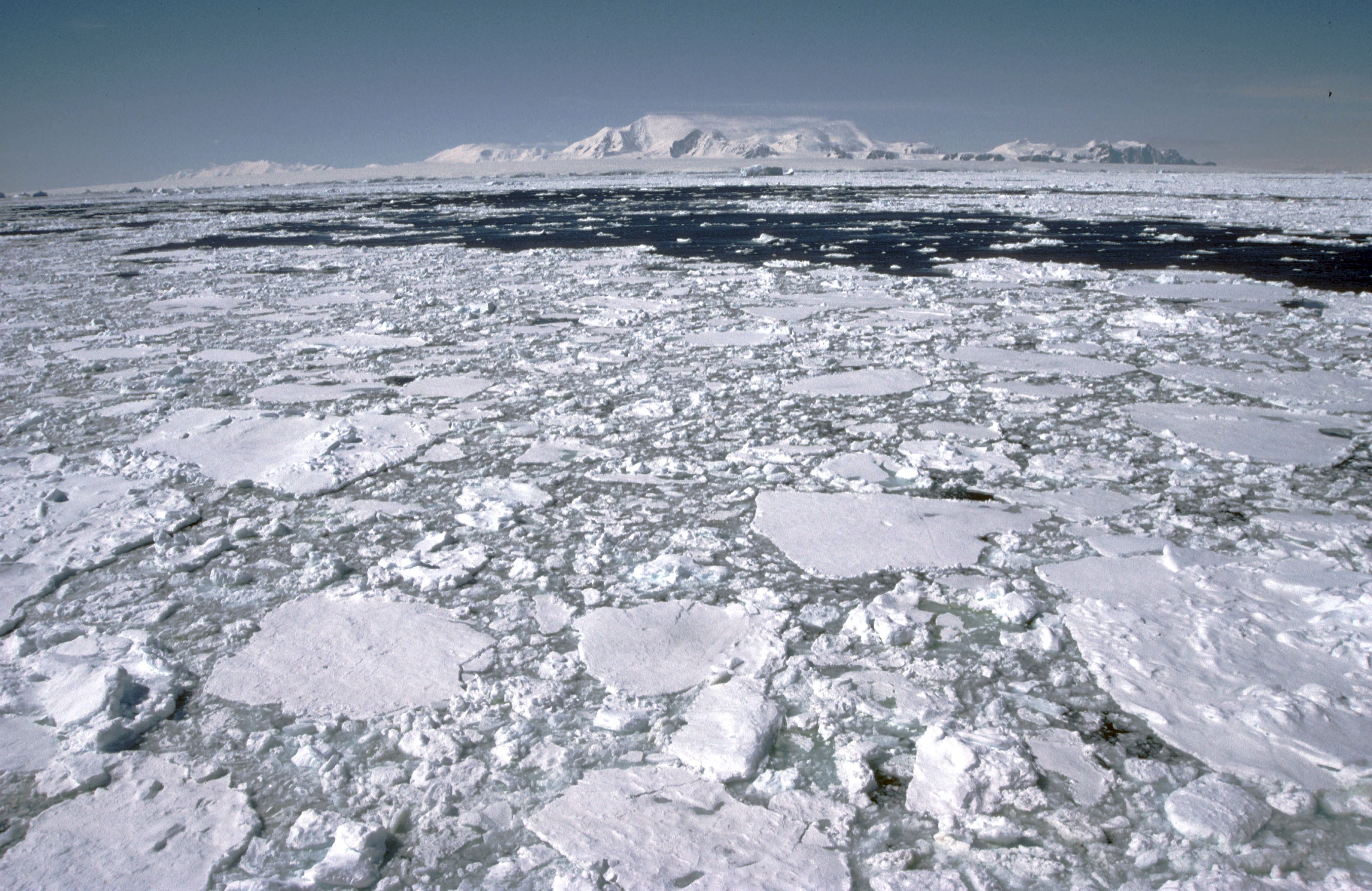 El deshielo en la Antártida aumentó casi diez veces en los últimos 600 años