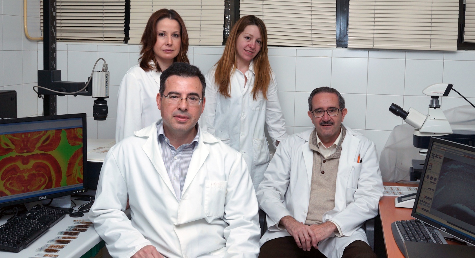 Investigadores de la Universidad de Oviedo aportan datos sobre la recuperación de la memoria en casos de lesión cerebral