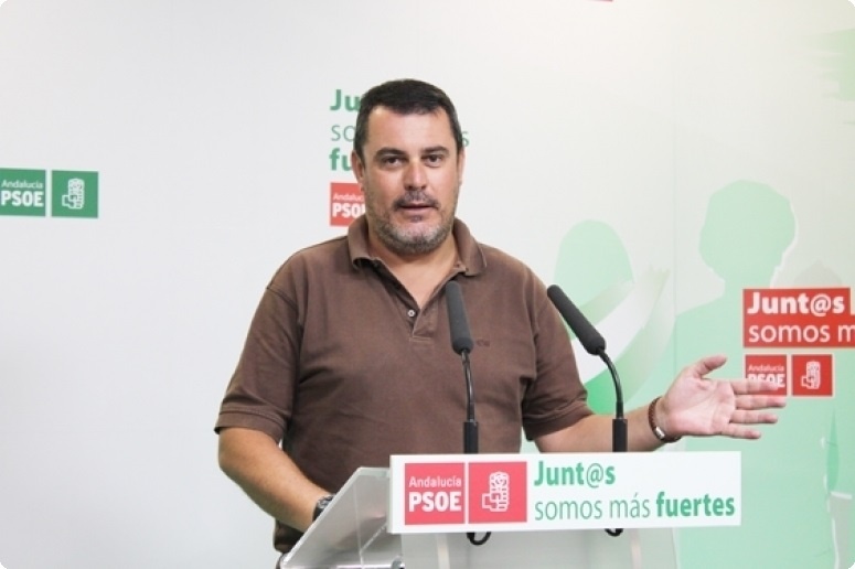 El PSOE cree que la presentación de más de un candidato a las primarias evidencia que es «un partido vivo»