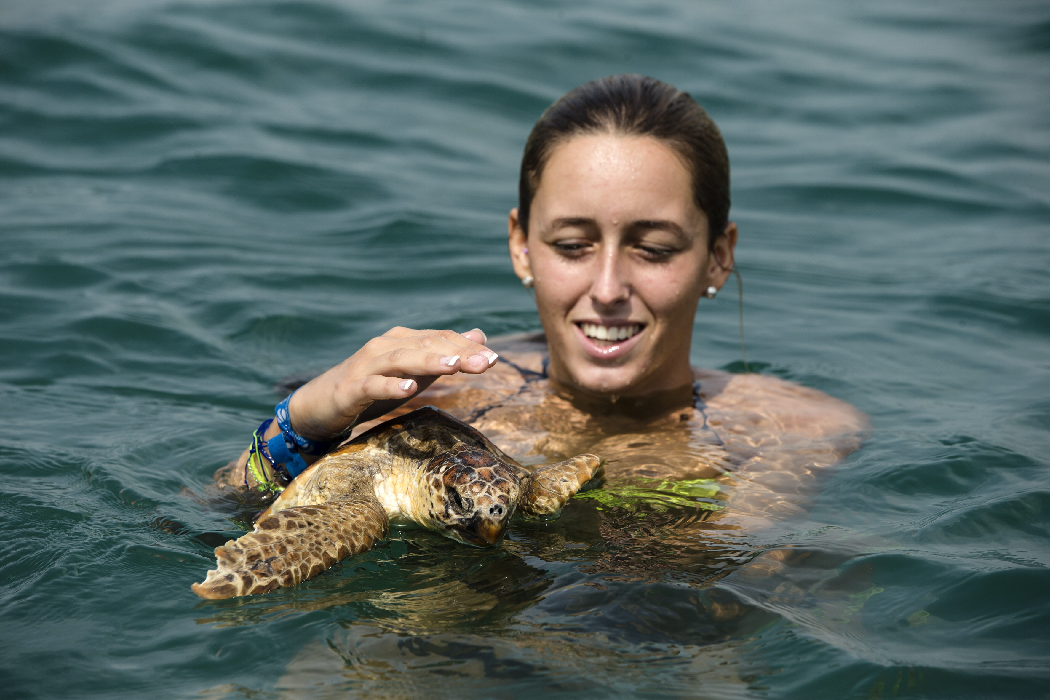 Liberan once tortugas en el mar de Alborán tras ser recuperadas en Málaga