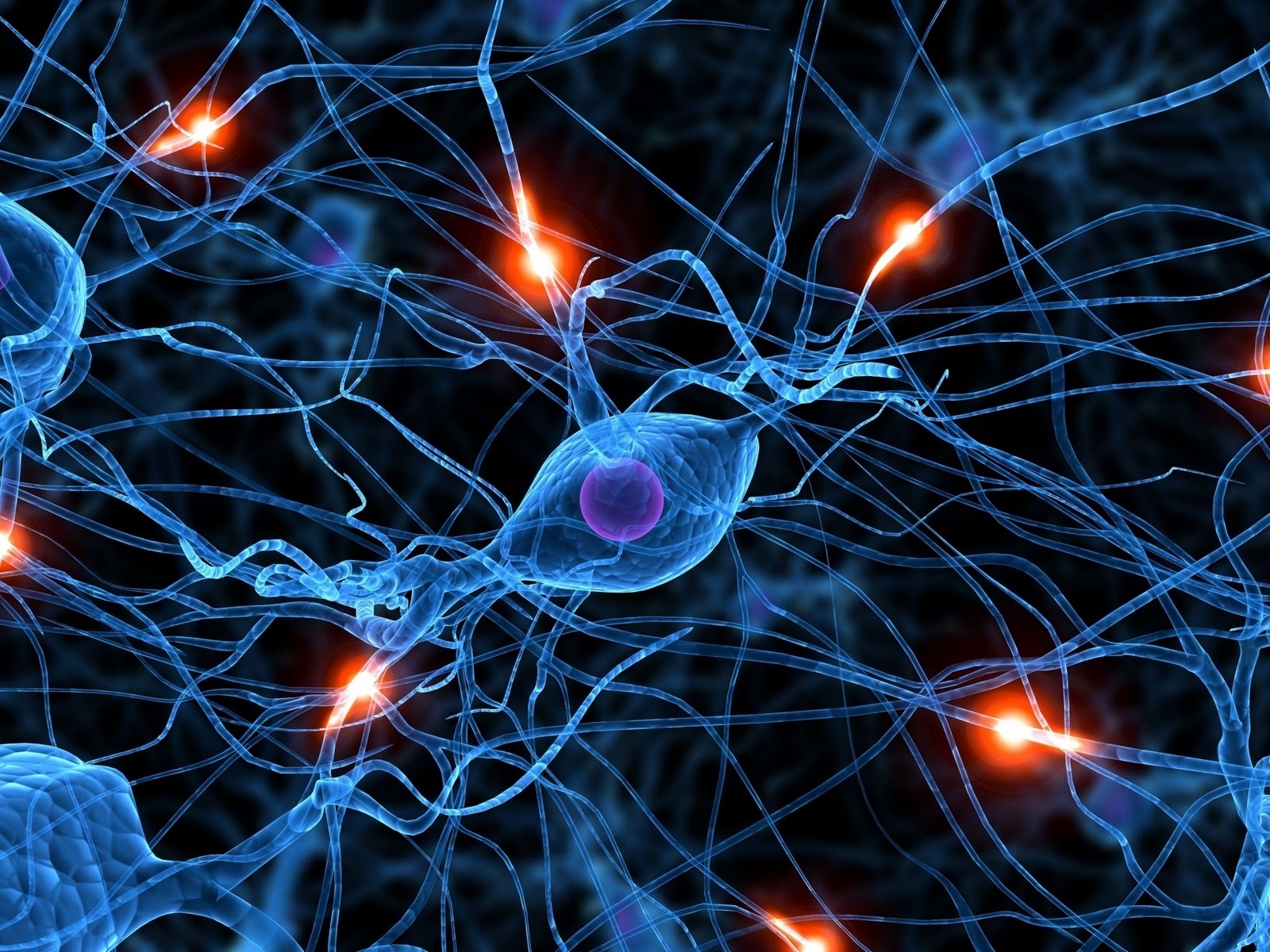 Descubren la red neuronal del cerebro donde se produce la imaginación