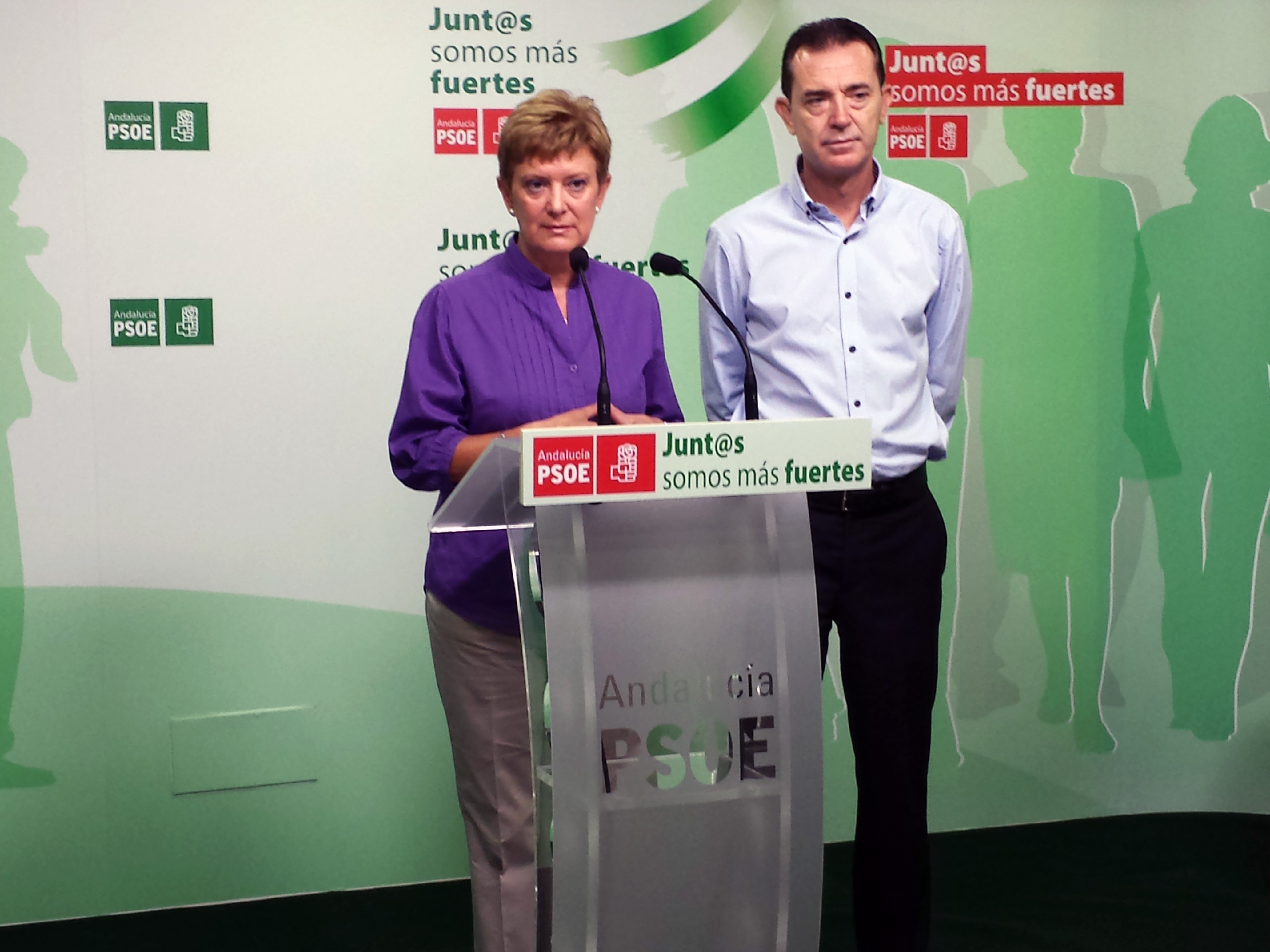 PSOE cifra en «58 millones» la «pérdida» de poder adquisitivo de los almerienses para 2014 por «recortes» de PP