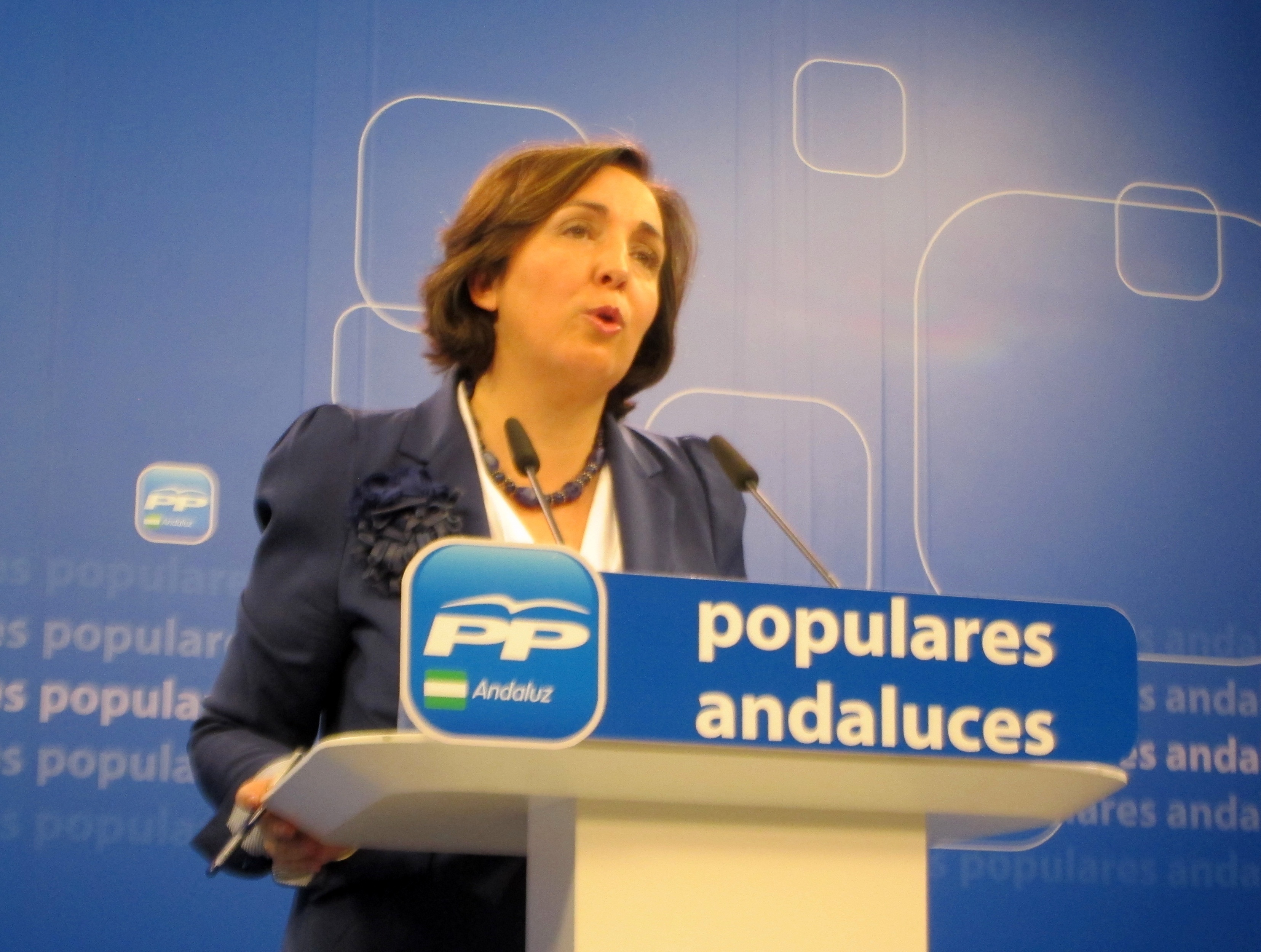PP-A critica la «involución en democracia y transparencia» del Gobierno de Díaz, que intenta «secuestrar» el Parlamento