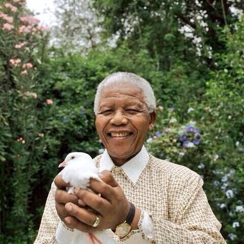 Fallece Nelson Mandela, icono de la libertad y de los derechos humanos
