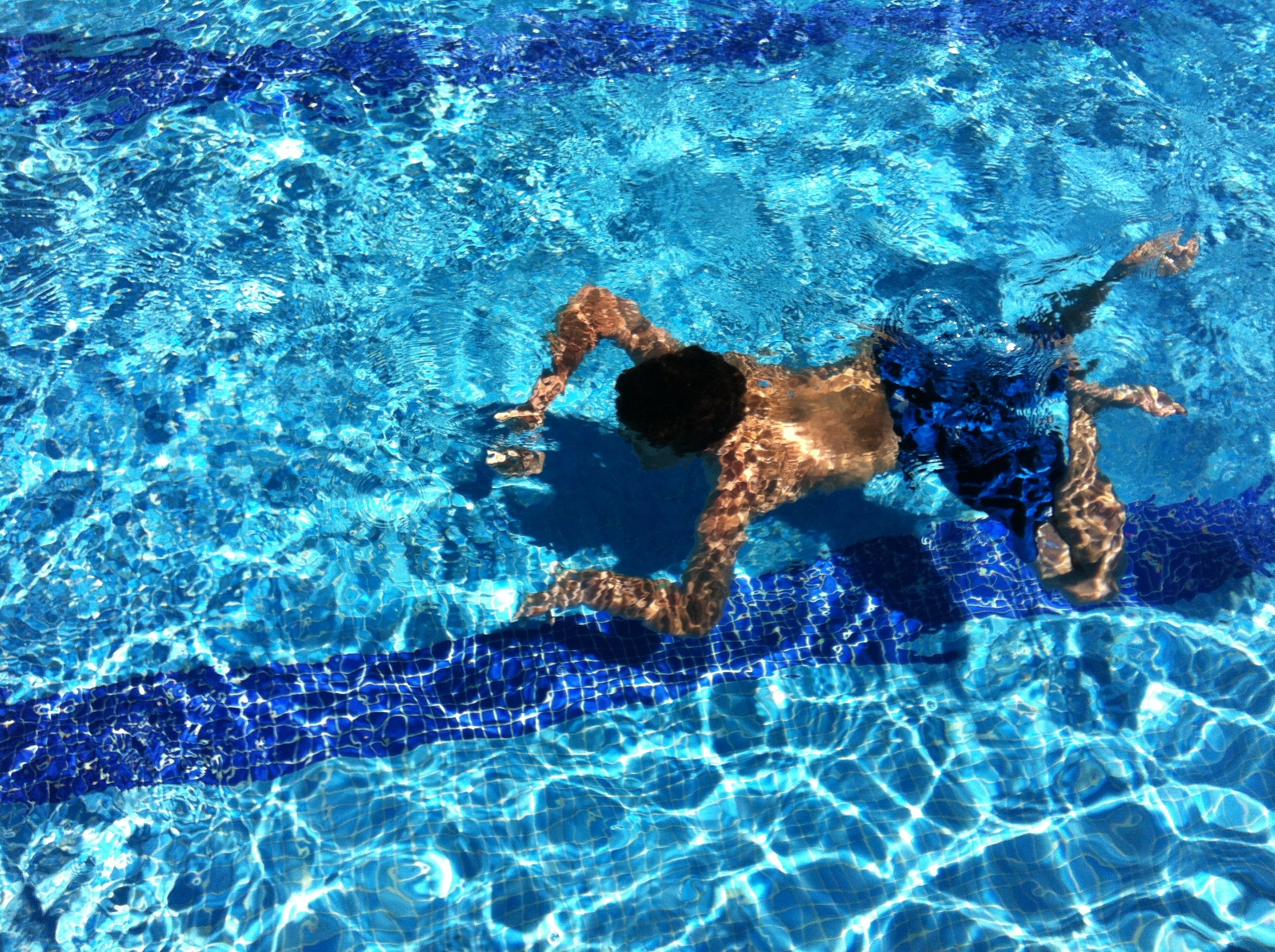 Cerca de 300 nadadores, algunos de ellos riojanos, competirán este año en el Trofeo San Silvestre de Zaragoza