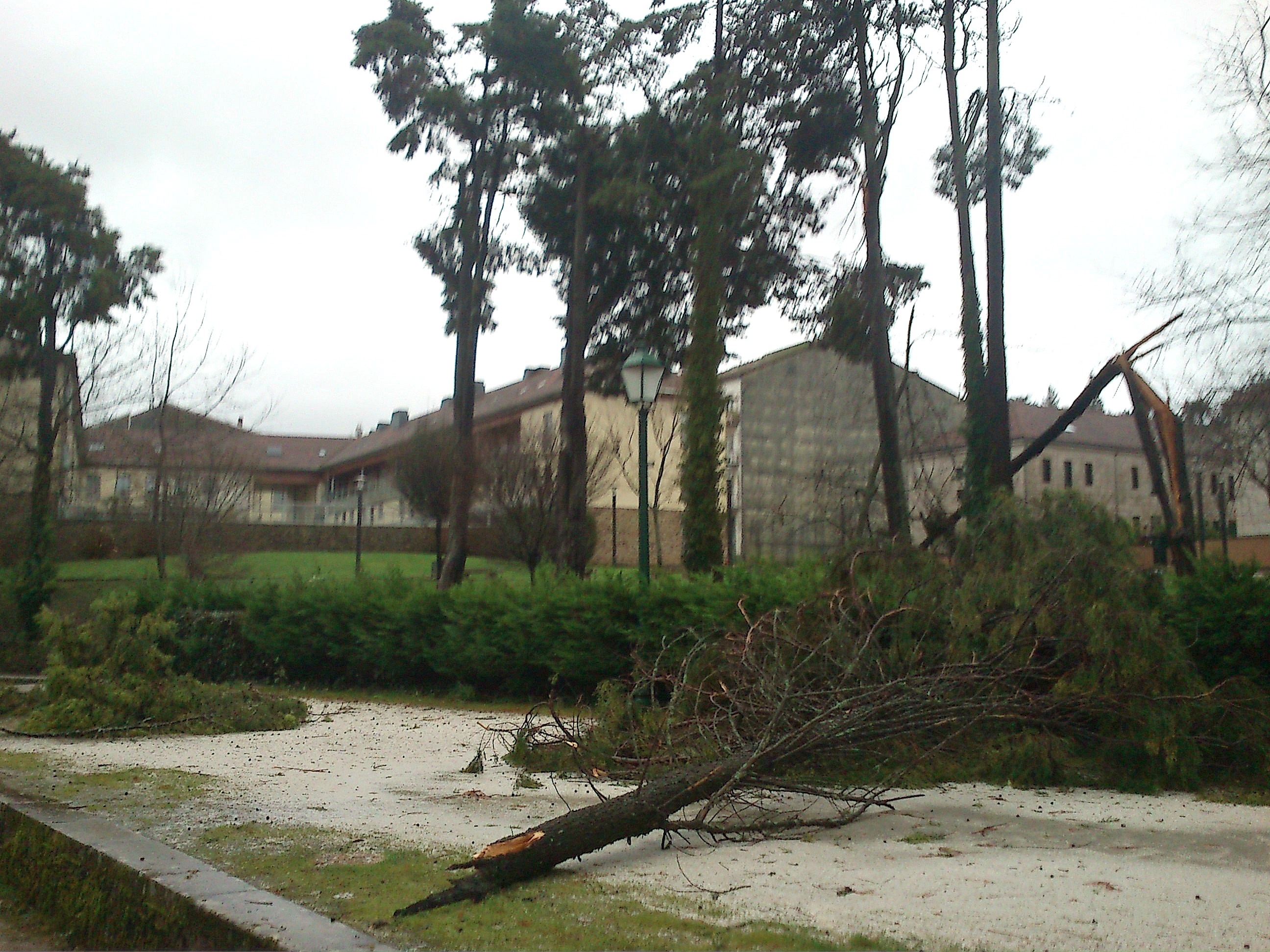Más de 1.300 gallegos continúan sin electricidad, todos en la provincia de A Coruña, tras el temporal