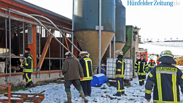 Un grupo de 90 vacas con gases provoca la explosión de su granja en Alemania
