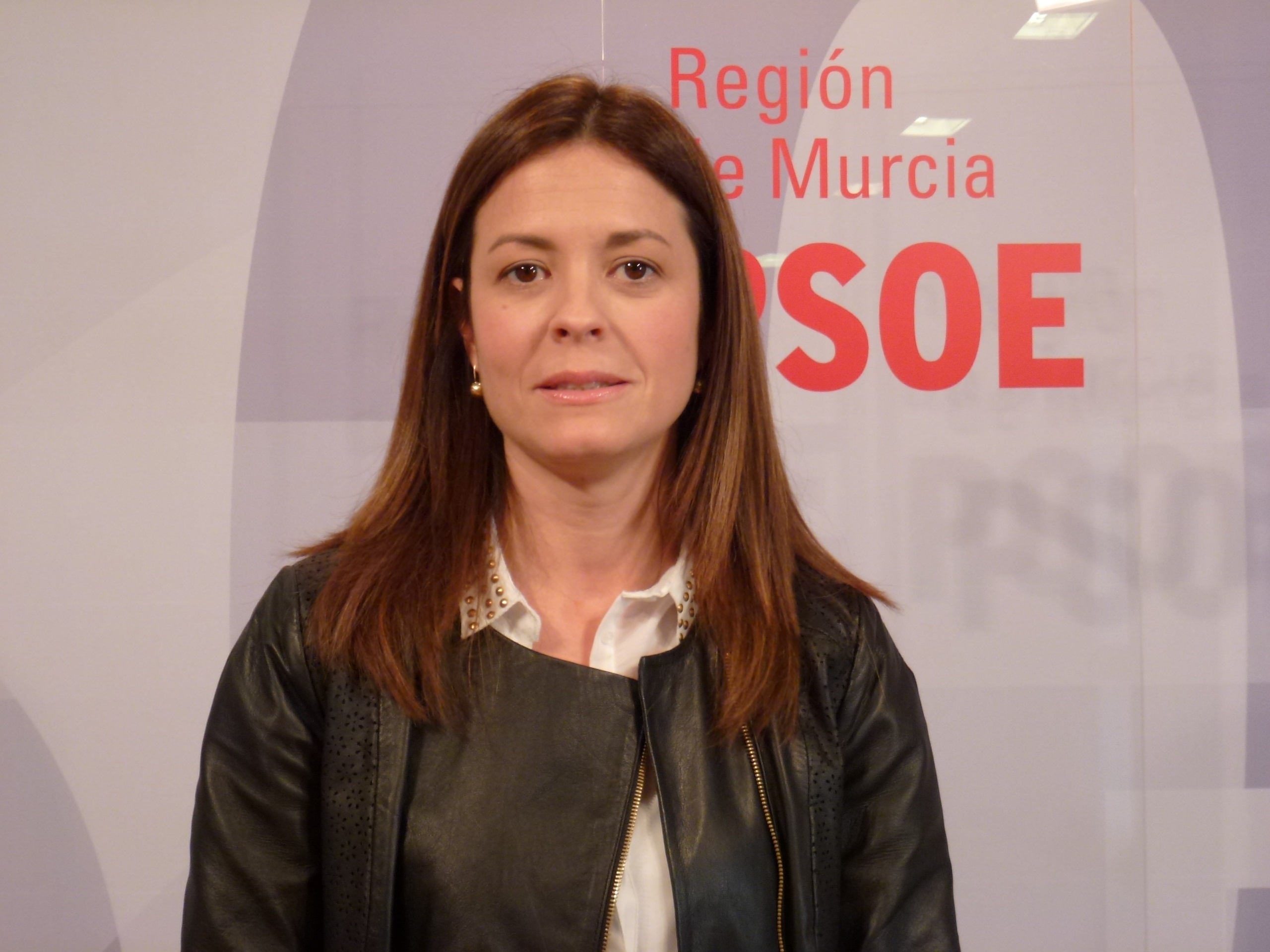 El PSOE rechaza la inminente aplicación de la LOMCE porque es precipitada y necesita más fondos