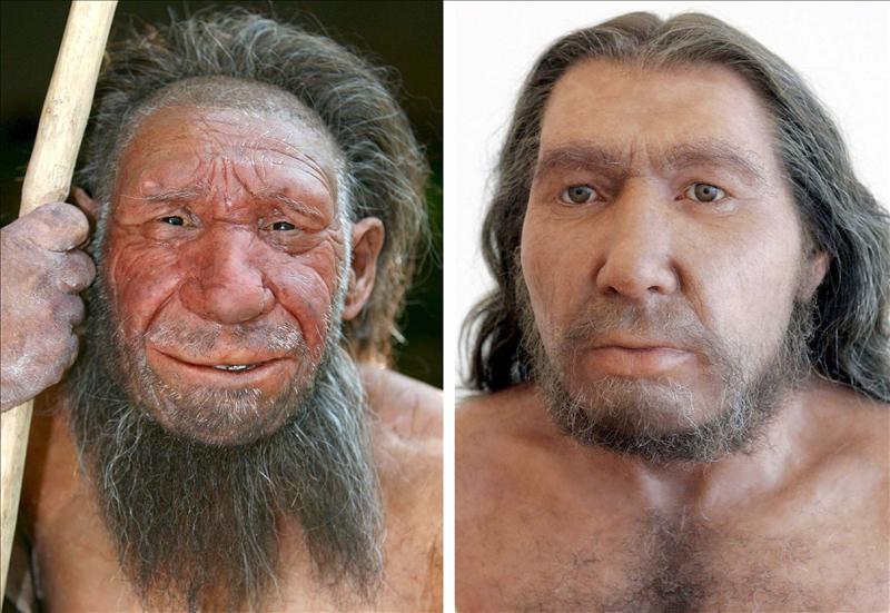 La evolución del Homo Sapiens: más grande, más gordo y menos fértil