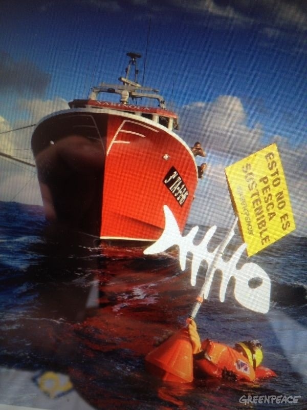 Más de 500 ONG reclaman el fin de la sobrepesca de arrastre en aguas profundas para evitar daños irreversibles