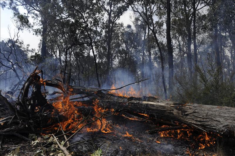 Galicia, la comunidad más vulnerable ante los incendios