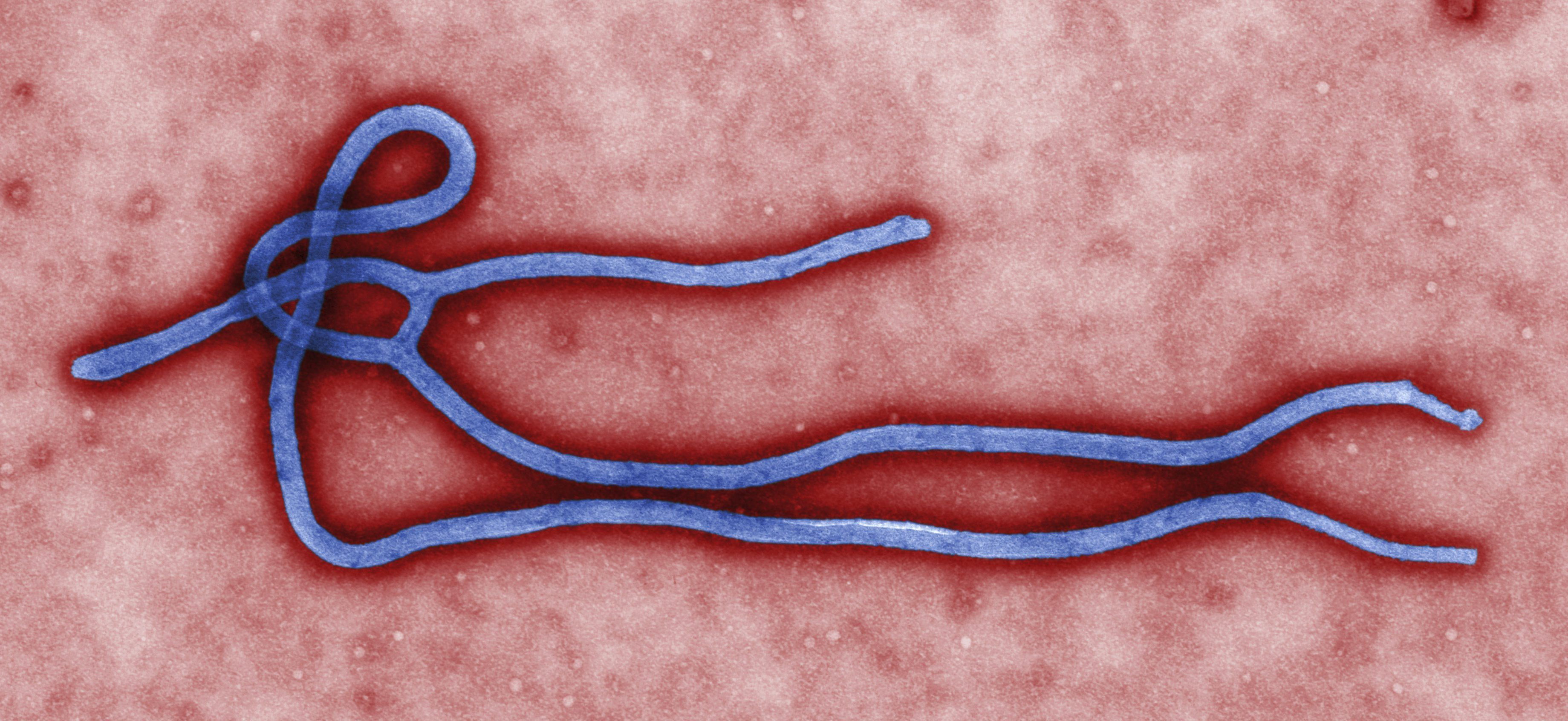 Alerta en África porque el ébola se suba a un avión