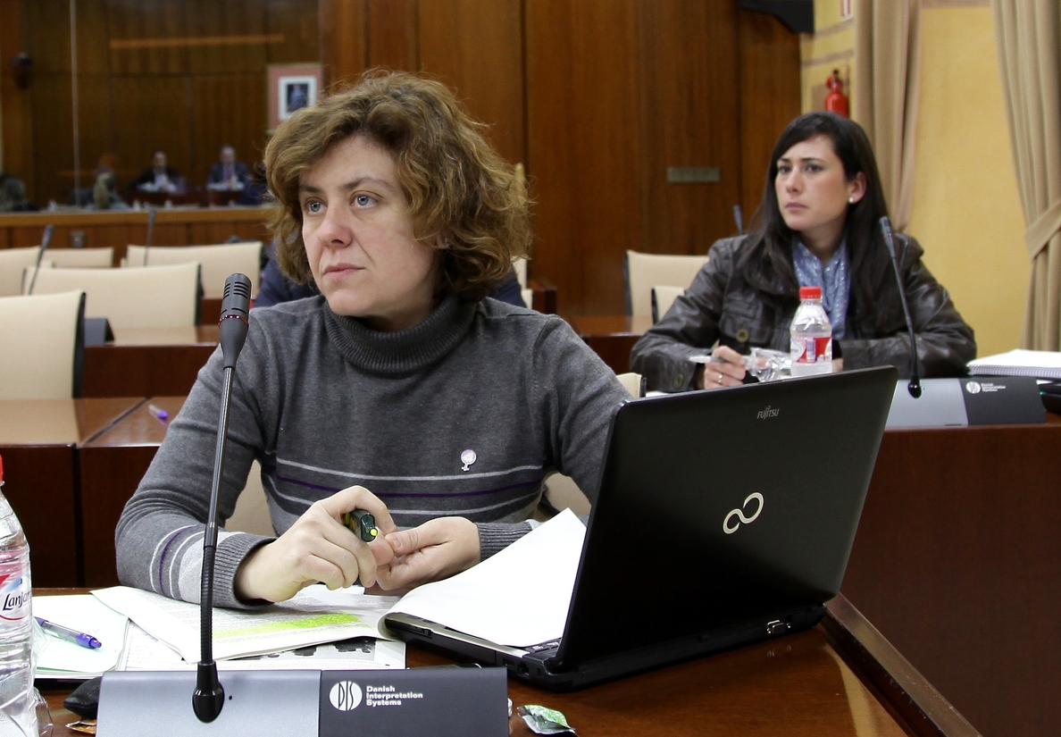 Doblas (IULV-CA) sugiere a Susana Díaz que abra una investigación en la Consejería de Empleo y no en Vivienda