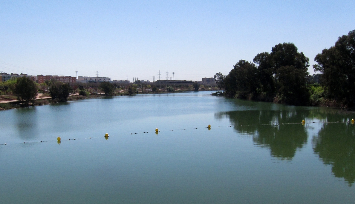 El Consejo de Participación de Doñana rechaza el proyecto de protección de márgenes del dragado del río