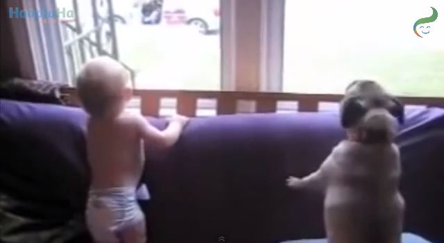La adorable reacción de estos bebés al llegar sus padres a casa