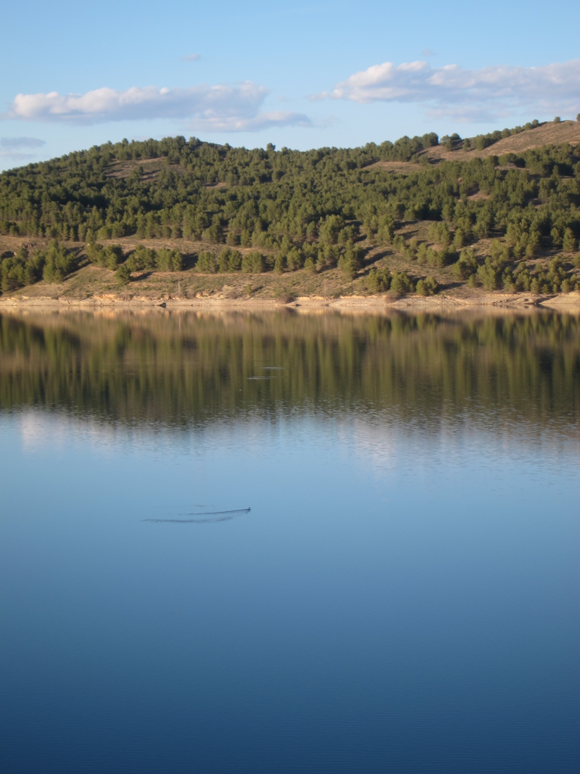 La reserva de agua de los embalses de la Cuenca del Ebro se encuentra al 84,7%