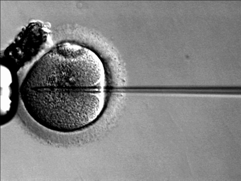 La Junta aprueba el anteproyecto que modifica la ley que regula la investigación con preembriones humanos