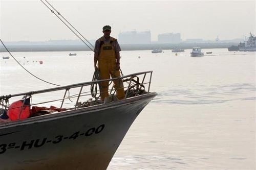 La nueva Ley de Pesca permitirá reducir a la mitad las sanciones inferiores a 15.000 euros