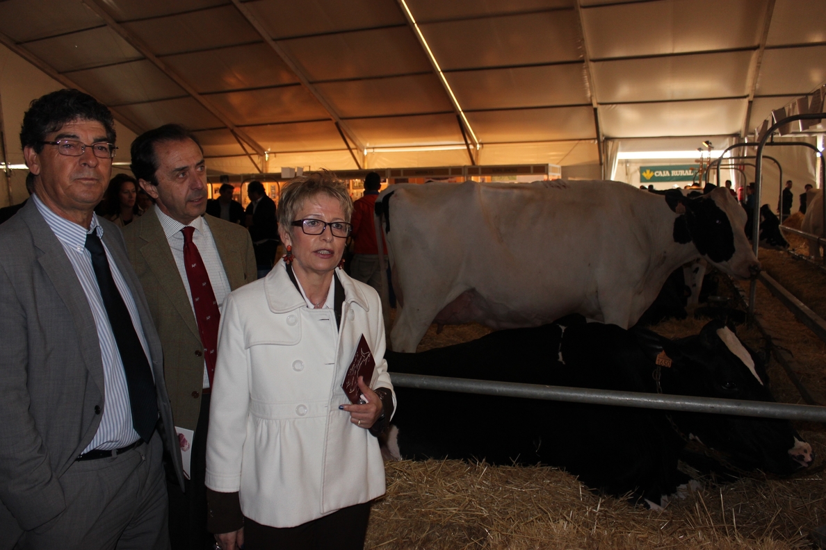 Junta andaluza subraya su «apuesta» con la agricultura y la ganadería como referentes de un nuevo modelo económico